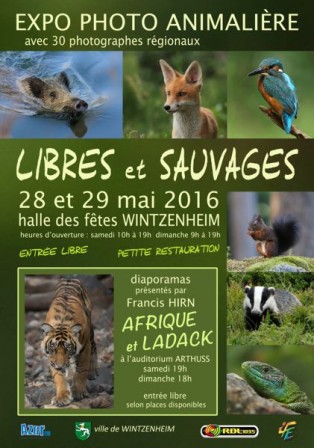 AFFICHE_libres_et_sauvages_lg.jpg