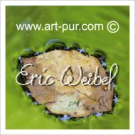 Blog Art-pur.com