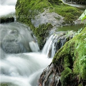 Valle de la Wormsa - La rivire